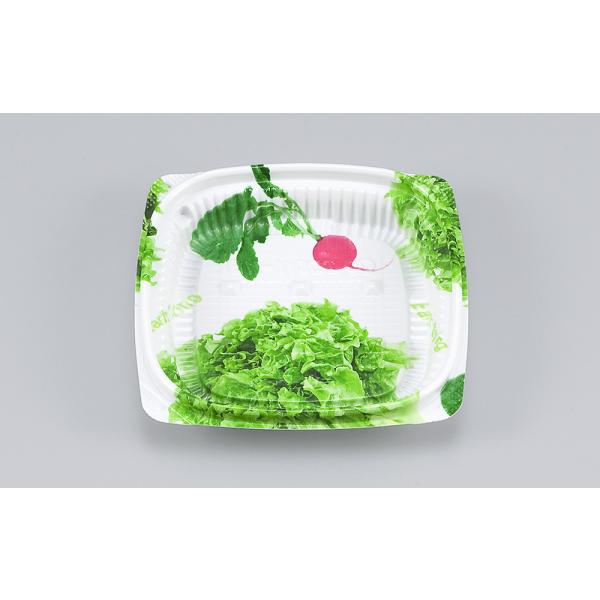 BFエコD11-11B(サラダ) 【2400枚】