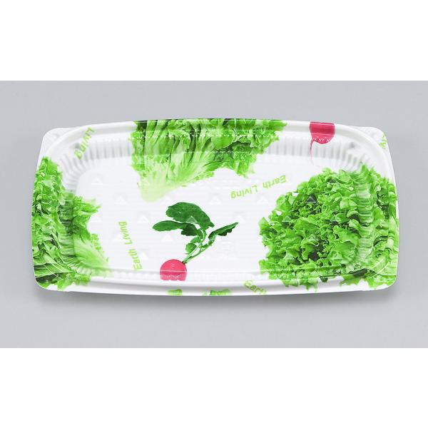 BFエコD18-11C(サラダ) 【50枚】