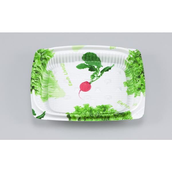 BFエコD13-11B(サラダ)本体 【2000枚】