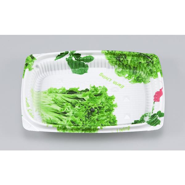 BFエコD15-11B(サラダ)本体 【1800枚】