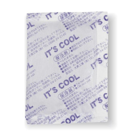 保冷剤 保冷剤 IT’S COOL不織布I-30F(30g) 【400個】 大黒工業 業務用 スーパー 飲食店 厨房