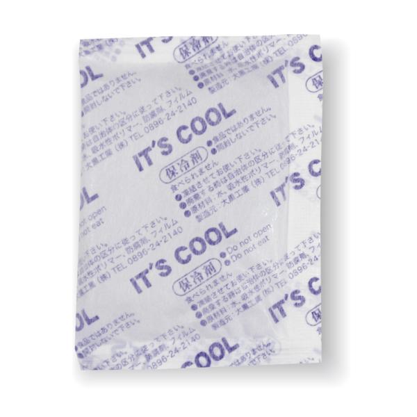 保冷剤 保冷剤 IT’S COOL不織布I-30F(30g) 【400個】 大黒工業 業務用 スーパー 飲食店 厨房